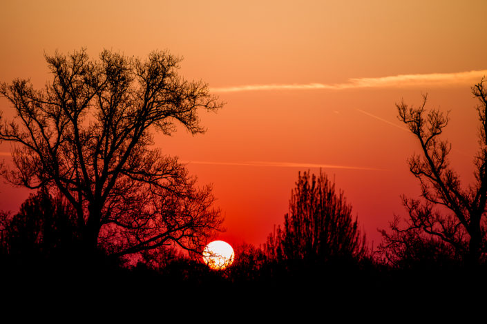 Sunrise in Monza // © marcellanger / www.adrenalmedia.com